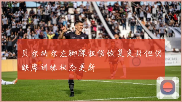贝尔纳尔左脚踝扭伤恢复良好但仍缺席训练状态更新