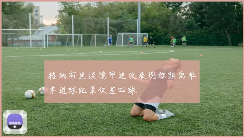 格纳布里谈德甲进攻表现称距离单季进球纪录仅差四球